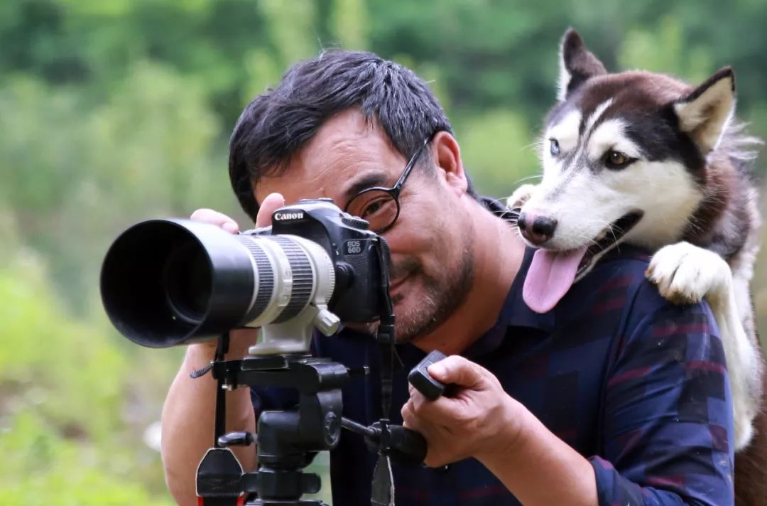 郑州短视频拍摄制作公司短视频拍摄必备技巧|如何拍好宠物